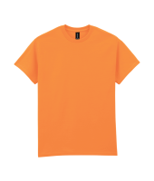 Tangerine (x72)