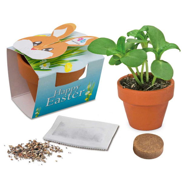 Mini plantenpot konijn met zaden