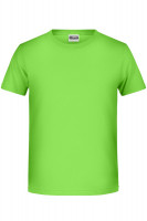 Lime (ca. Pantone 360C)