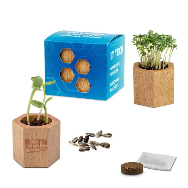 Houten plantenset Hexagon met zaden